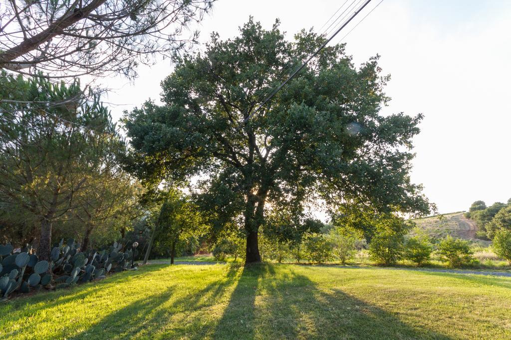 Agriturismo Cupido Montiano  Eksteriør billede