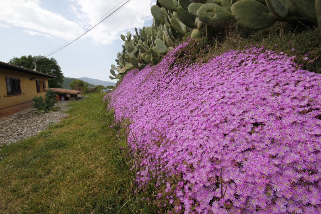 Agriturismo Cupido Montiano  Værelse billede