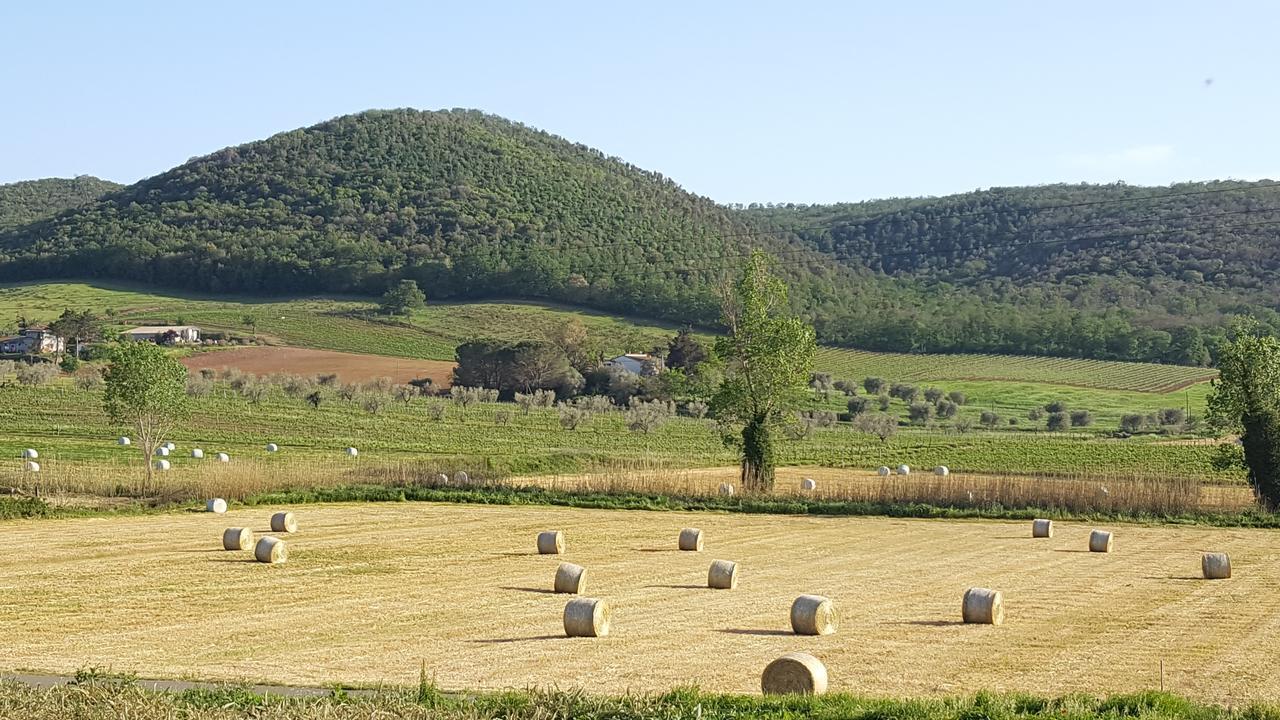 Agriturismo Cupido Montiano  Eksteriør billede